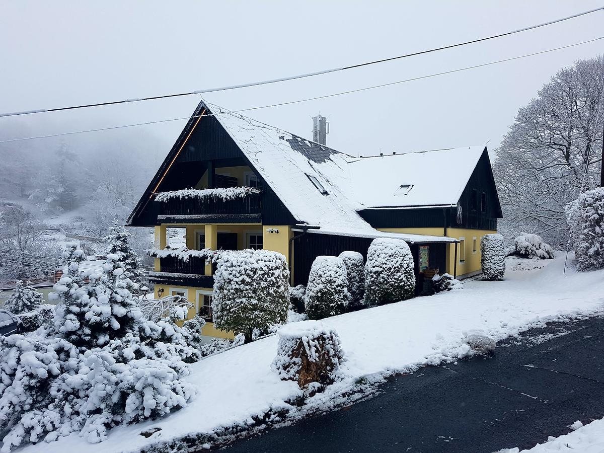 Hotel Sonne Seiffen Exterior foto